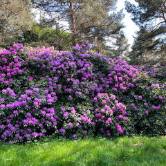 23-06-03 16-37-50 5787